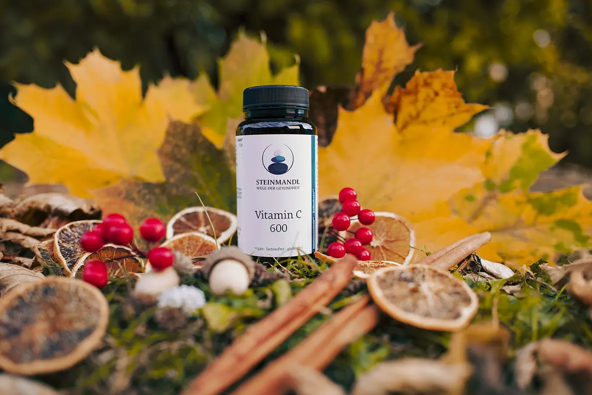 Eine Flasche mit Nahrungsergänzungsmitteln steht im Freien auf einer natürlichen Oberfläche, umgeben von getrockneten Orangenscheiben, roten Beeren, Zimtstangen und Herbstblättern im Hintergrund.
