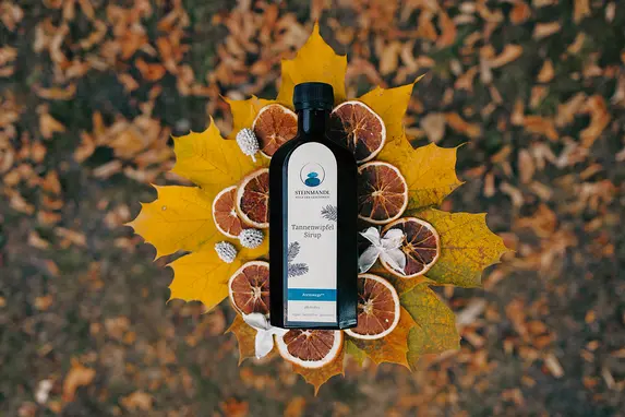 Eine Flasche mit Flüssigkeit steht auf gelben Herbstblättern, umgeben von getrockneten Zitrusscheiben, während im Hintergrund herabgefallene Blätter auf dem Boden liegen.